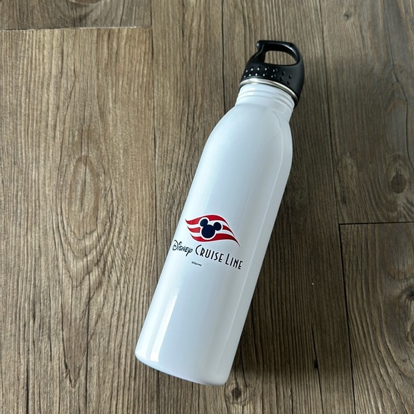 Disney Cruise Line Stainless Steel Bottle with Lid - Picture 1 of 3